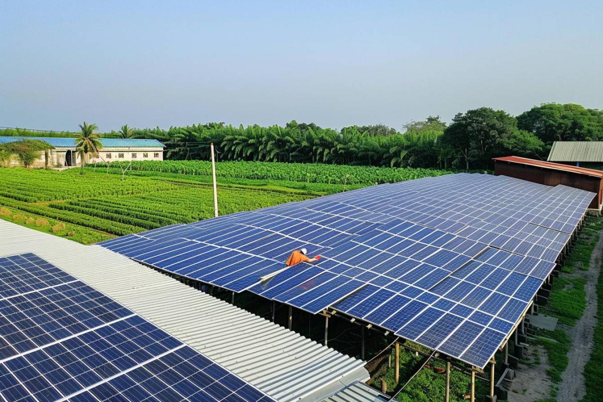 Hangar agricole photovoltaïque : votre projet clé en main avec Arkolia Energies